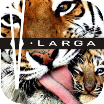 Vlarga LOGO-APP點子