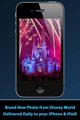 2014 Photo A Day from Disney Photography Blog screenshot 2