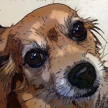 Zoe's World - Free Dog Action Adventure Game 遊戲 App LOGO-APP開箱王
