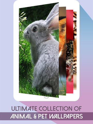 【免費娛樂App】Unlimited Animal Wallpapers & Backgrounds  - Retina Images of All Cute Pets & HD Collection of Wild Life Animals-APP點子