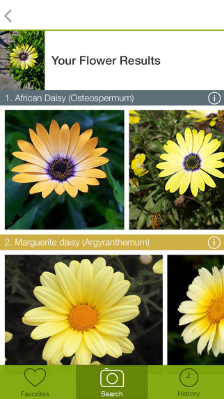 【免費教育App】LikeThat Garden – Flower Identification-APP點子