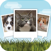 no app image