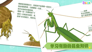 螳螂- 昆虫世界 有趣的儿童互动绘本故事书