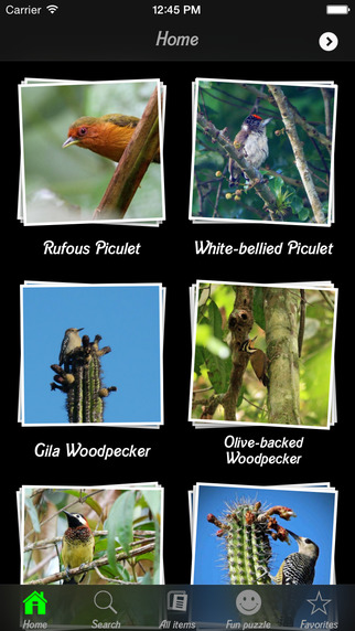 【免費娛樂App】Woodpeckers Collection Pro-APP點子