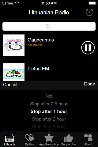 Lithuanian Radio - LT Radio screenshot 3
