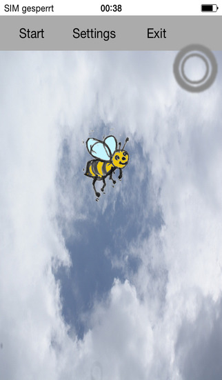 Catch the bee Maja