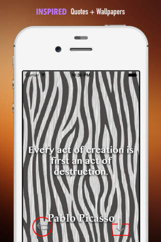 Zebra Print Wallpapers HD: Quotes Backgrounds Creator with Best Designs and Patterns screenshot 4