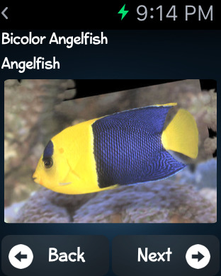 免費下載教育APP|Fish Encyclopedia Pro HD app開箱文|APP開箱王