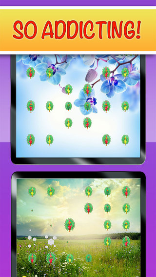 免費下載遊戲APP|Peacock Pop - Free Fun Cute Puzzle Game! app開箱文|APP開箱王