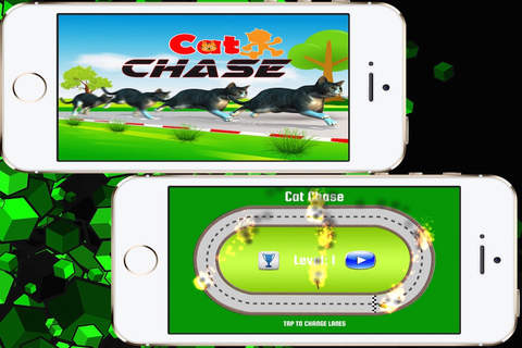 Cat Chase Lite screenshot 3