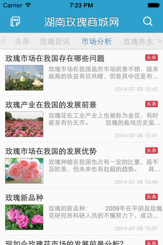 湖南玫瑰商城网 screenshot 2