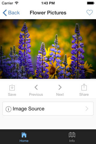 Flower Pictures Wallpapers screenshot 2