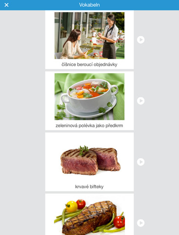 【免費教育App】Tschechisch lernen: Sprachführer mit Vokabeln und Redewendungen-APP點子