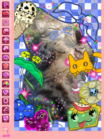 【免費攝影App】Punykura - kawaii purikura (cute Japanese photo sticker deco) & Animated GIF maker Lite-APP點子