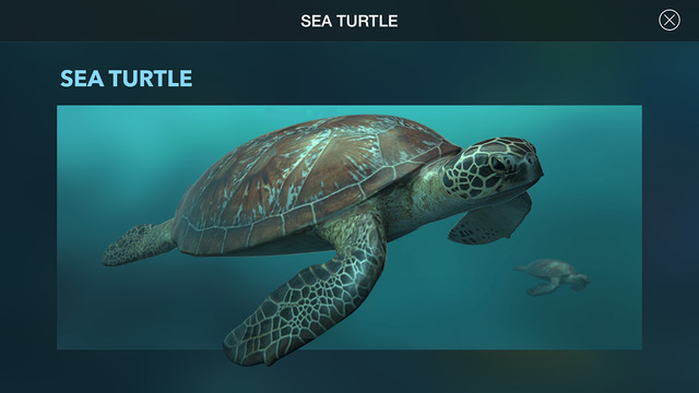 免費下載教育APP|Amazing World OCEAN - Interactive 3D Encyclopedia app開箱文|APP開箱王