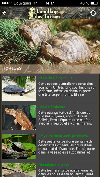 【免費旅遊App】Le Village des Tortues-APP點子