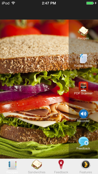 Delicious Sandwiches Recipes - Sandwich Fillers