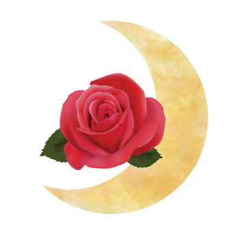 Luna Rosa LOGO-APP點子