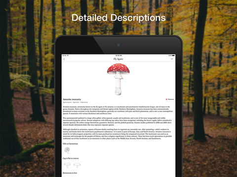 免費下載書籍APP|Mushroom Identification Guide - Illustrated Mycology Catalog app開箱文|APP開箱王