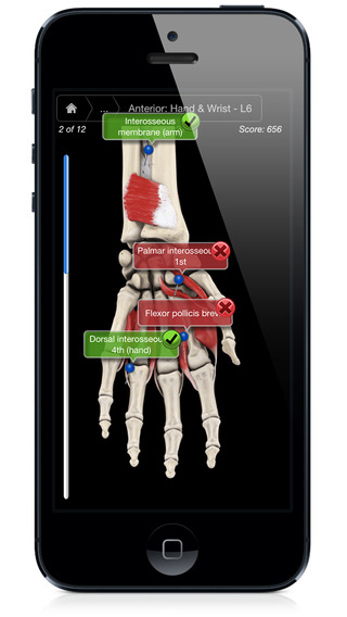 【免費醫療App】Muscle System Pro III - iPhone Edition-APP點子