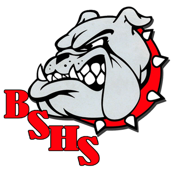 Boiling Springs High School LOGO-APP點子