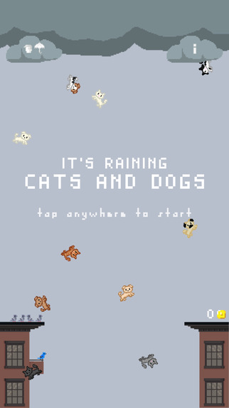 It's Raining Cats and Dogs