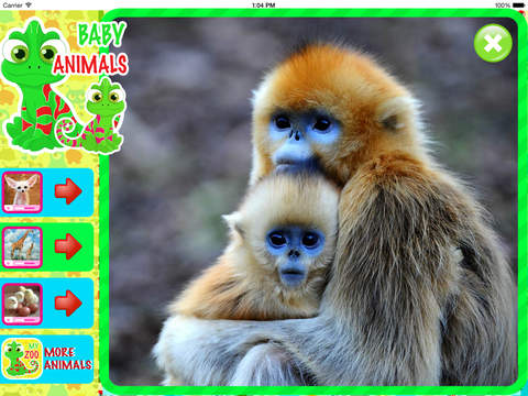 Baby Animals - Learn Animal Names! screenshot 2
