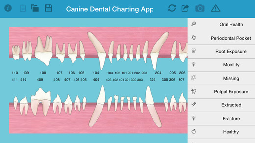 【免費醫療App】Pet Dental Charting- For veterinarians and technicians, Digital solution for dental charting-APP點子