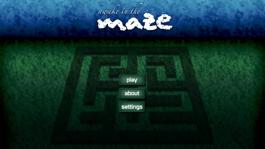Awake In The Maze