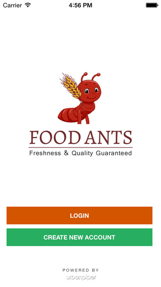 Food Ants