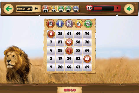 Bingo Safari screenshot 3