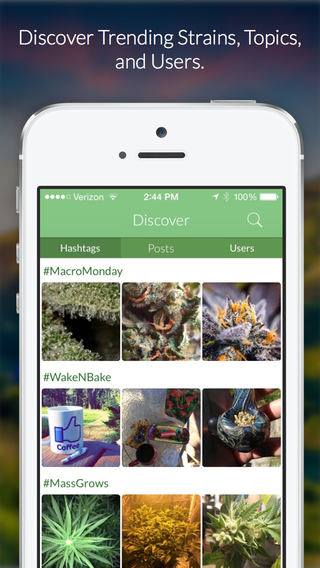 【免費社交App】MassRoots: The Medical Cannabis Community-APP點子