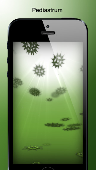 免費下載娛樂APP|PhytoPlankton app開箱文|APP開箱王