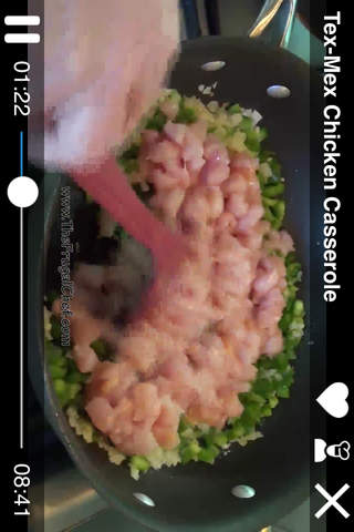 Casserole Professional Chef - How to Cook Everything screenshot 2