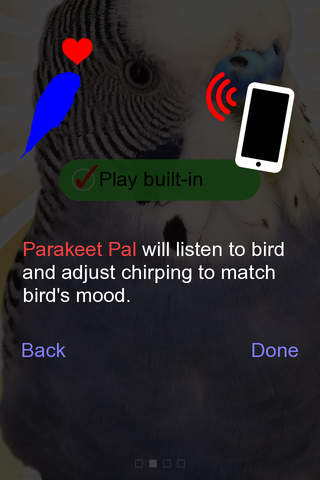 Parakeet Pal screenshot 3