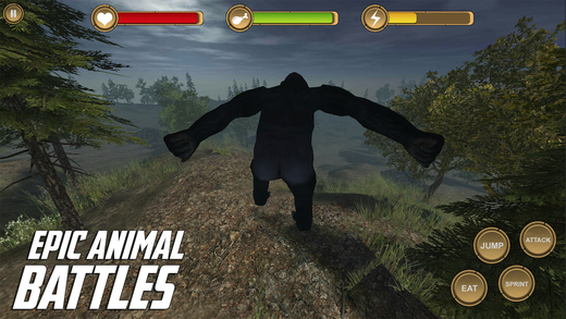 免費下載遊戲APP|King Kong Simulator HD Animal Life app開箱文|APP開箱王