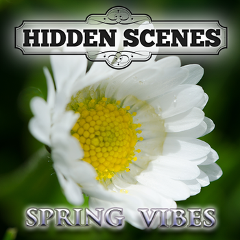 Hidden Scenes - Spring Vibes LOGO-APP點子