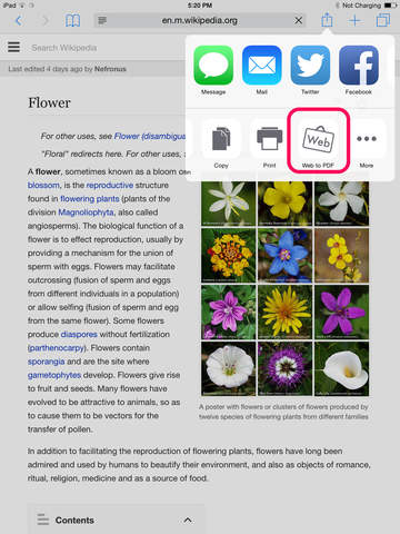 Web to PDF for Safari browser for iPad