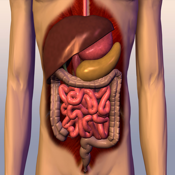 Human Digestive System Trivia Game LOGO-APP點子