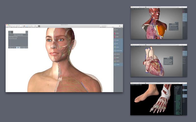 Complete Anatomy для ПК / Mac / Windows 11,10,8,7 - Скачать бесплатно - витамин-п-байкальский.рф