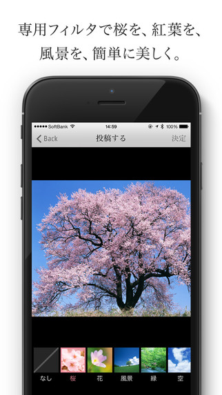 【免費攝影App】Sai-Jiki -彩時記- 季節を楽しむ大人のための写真SNS-APP點子