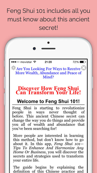 Feng Shui 101 - Pro Edition