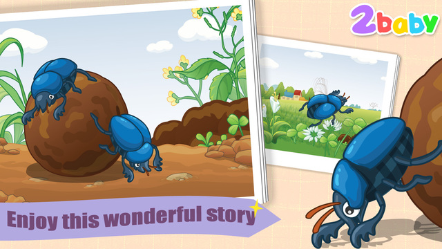 Dung beetle - InsectWorld A story book about insects for children