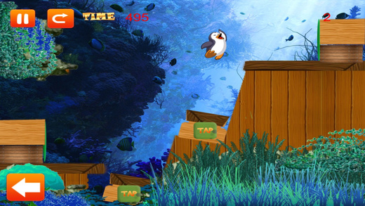 免費下載遊戲APP|Penguin Plunge - Happy Water Maze Quest Free app開箱文|APP開箱王