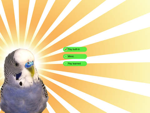 【免費生活App】Parakeet Pal Free-APP點子