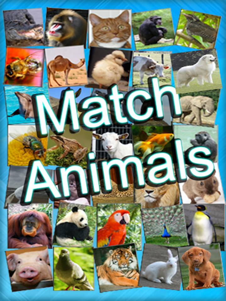 Kids Can Match - Animals , vocal memory game for children HD - AppRecs