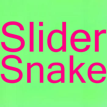 Slider Snake 遊戲 App LOGO-APP開箱王