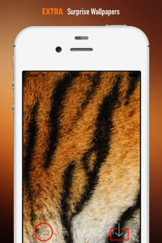 Tiger Print Wallpapers HD: Quotes Backgrounds Creator with Best Designs and Patterns screenshot 3