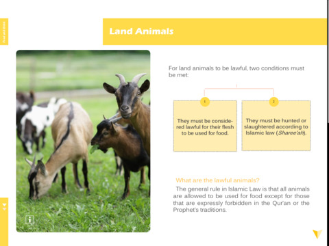 【免費書籍App】Food and Drink in Islam-APP點子