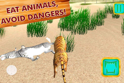 Safari Wildlife: Tiger Simulator 3D Full screenshot 2